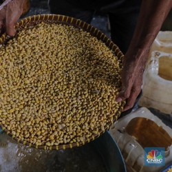 Kedelai Langka, 30.000-an Perajin Tahu & Tempe Setop Produksi