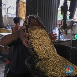 Kedelai Impor Mulai Banjiri RI, Perajin Tahu-Tempe Happy