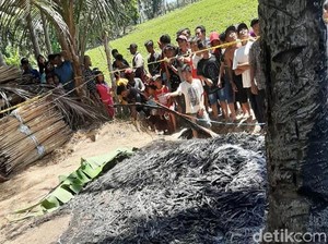 Vonis Mati Ali Bunuh dan Bakar Rosidah yang Mengolok-oloknya Gendut