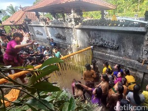 Tradisi Megeburan di Bali, Saat Pria Jadi Rebutan Para Wanita