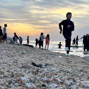 Situasi Gencatan Senjata, Warga Palestina Bermain di Pantai
