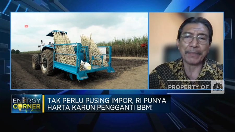 RI Mau Bikin BBM Dari Tetesan Tebu, Petani Ungkap Hambatan Ini!(CNBC Indonesia TV)