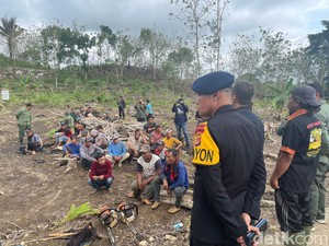 Brimob Amankan 13 Pembalak Liar di Area Perhutani Pangandaran