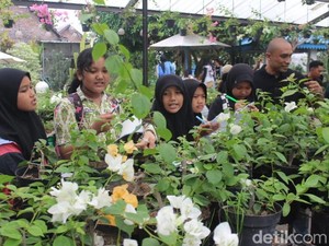 Keseruan Wisata Alam di Beenyo Farm Sambil Belajar Budi Daya Bugenvil
