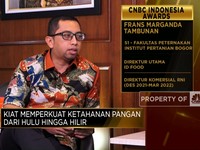 Cara ID Food Jaga Harga Daging Ayam Tapi Tak Rugikan Peternak