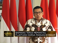 Kiat Bapanas Perkuat Ketahanan Pangan-Amankan Harga Beras Cs