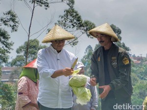 Mendengar Curhatan Petani di Bandung ke Anies Baswedan