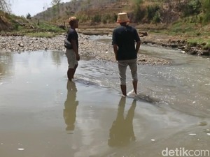 DLH Ponorogo Telah Tangani Cemaran Kotoran Sapi di Sungai Tapi Gagal