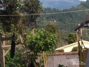 Cerita Bumijawa Tegal, dari Kerajaan Galuh Purba hingga Tuk Jimat