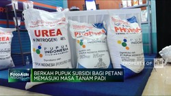 Berkah Pupuk Subsidi Bagi Petani Memasuki Masa Tanam Padi
