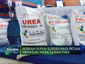 Berkah Pupuk Subsidi Bagi Petani Memasuki Masa Tanam Padi