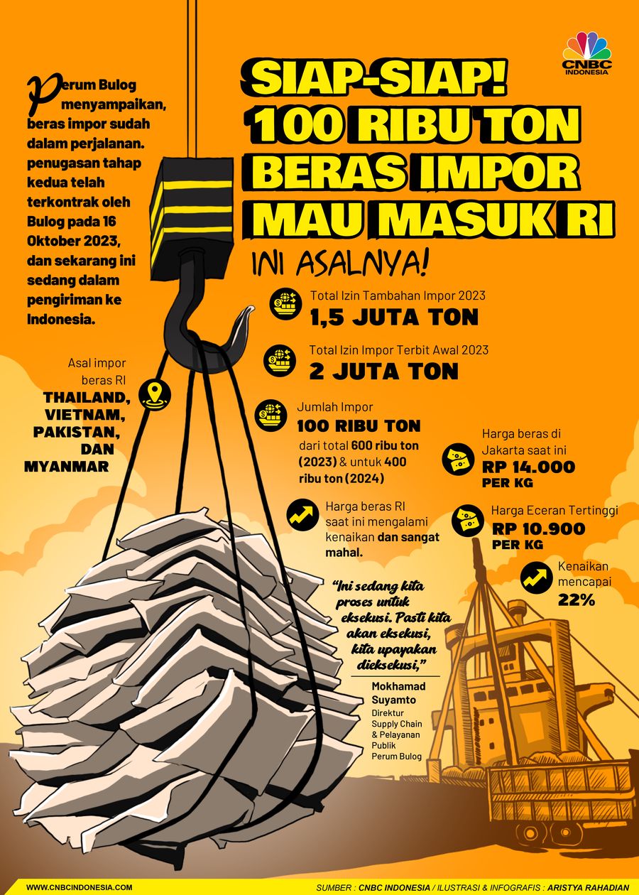 Diam-Diam 100 Ribu Ton Beras Impor Lagi OTW ke RI