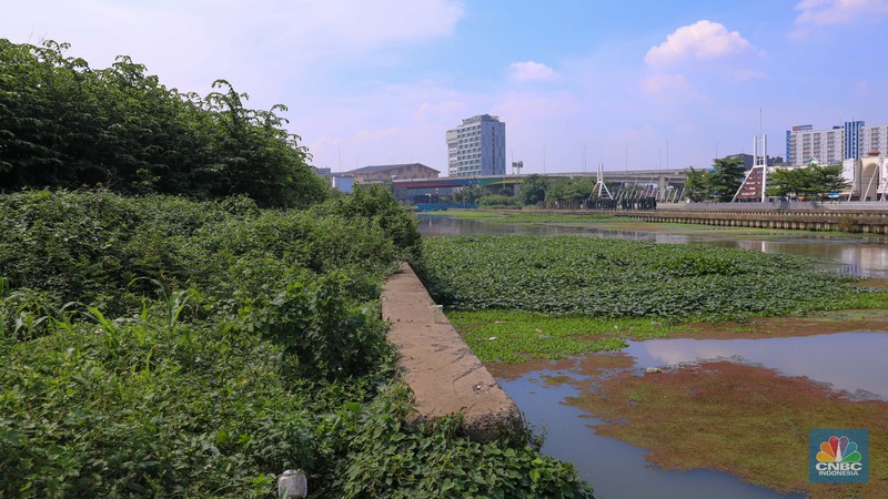 Kondisi taman Tarum Bhagasasi, Kalimalang di Bekasi, Jawa Barat, Kamis (30/11/2023). Kondisi taman Tarum Bhagasasi, Kalimalang di Bekasi, Jawa Barat, Kamis (30/11/2023). (CNBC Indonesia/Faisal Rahman)