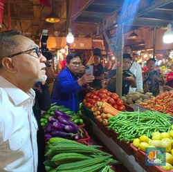 Mendag Kaget Dengar Harga Cabai Rawit Rp 100 Ribu/Kg: Waduh!