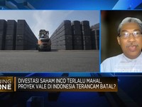 Divestasi Saham INCO Mahal, Proyek Vale Terancam Batal?