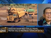 Divestasi Vale Vs Pemerintah Masih Alot, Siapa yang Rugi?