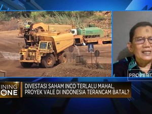 Divestasi Vale Vs Pemerintah Masih Alot, Siapa yang Rugi?