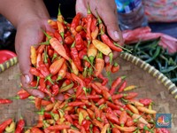 5 Manfaat Makan Pedas untuk Kesehatan, Bisa Bikin Panjang Umur