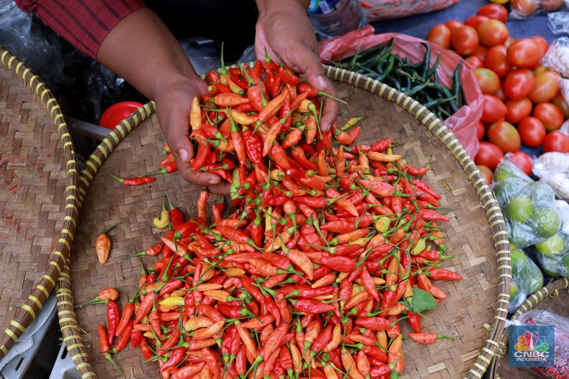 Harga cabai masih menjadi komoditas yang mengalami kenaikan pada Jumat (1/12). Harga cabai merah dan cabe rawit telah mengalami kenaikan dari beberapa minggu lalu. (CNBC Indonesia/Muhammad Sabki)