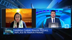 Inflasi November Naik, Jurus Pemerintah Tekan Inflasi Tepat?