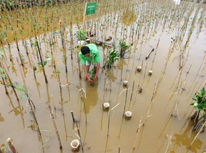 Rincian Proyek di PIK dan BSD yang Masuk PSN 2024