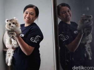 Ikut Kontes Kucing Sampai ke Eropa