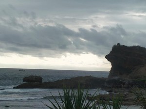 Viral Video Penampakan Lumba-lumba di Pantai Papuma Jember
