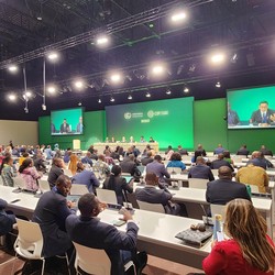 Hasil Terbaru COP28: 'Kiamat' Batu Bara Cs Batal?