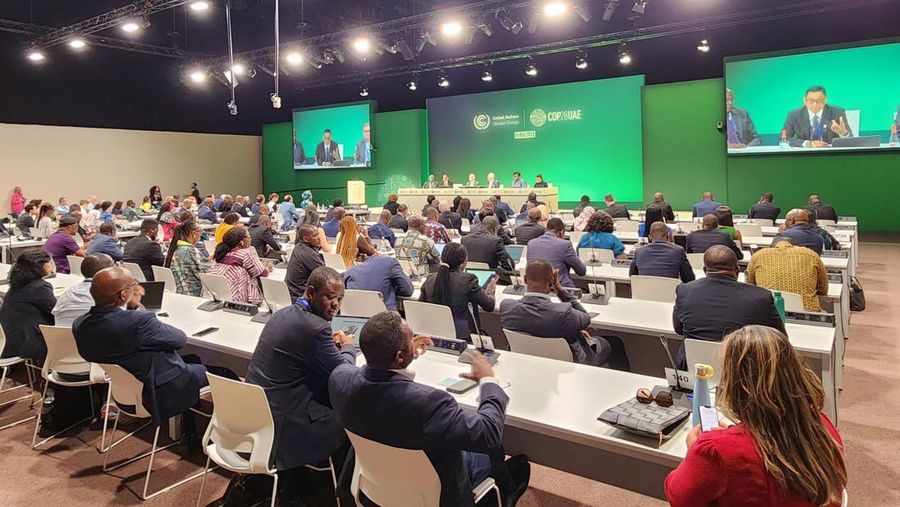 PLN di cop28 Dubai. (Dok. pln)