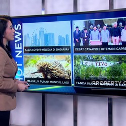Covid Singapura Melonjak Hingga Tanda 'Kiamat' Makin Jelas