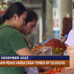 Harga Cabai Tembus Rp120.000/Kg Hingga Spotify PHK Karyawan