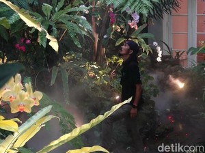 Ngalam Mbois: Herry Rasio Seniman Aquascape yang Mendunia