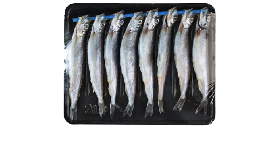Ikan Shimano. (Transmart)