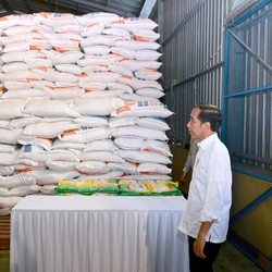 Pemerintah Siapkan Rp 9 T untuk Bansos Beras Agustus-Desember 2024