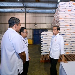 Kenapa RI Masih Impor Beras? Tak Disangka Jokowi Jawab Begini
