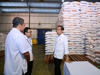 Jokowi Happy Ketemu Cabai Harga Rp50.000/Kg, Ini Lokasinya!
