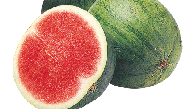 China Jadi Raja Semangka Dunia, Produksi RI Tak Ada Apa-apanya