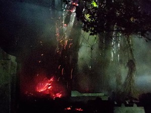 Viral Pohon Terbakar Bak Kembang Api di Permakaman Karangmojo Gunungkidul