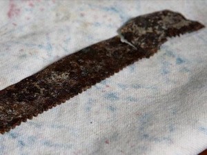 Arkeolog Temukan Gergaji Berusia 2.500 Tahun di Situs Warisan Dunia UNESCO