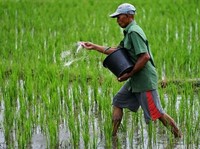 Sukses Ubah Rugi Jadi Laba, Begini Prospek Delta Giri Wacana!