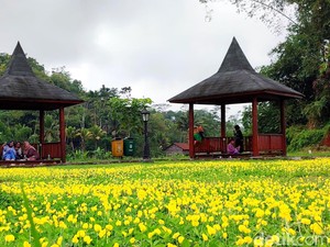 Melepas Penat di Situ Wangi Ciamis, Rute dan Harga Tiket