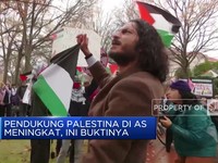 Warga AS Pendukung Palestina Meningkat, Ini Buktinya!