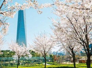 Tak Hanya Seoul, Incheon Juga Bisa Jadi Pilihan Wisata Kuliner Halal