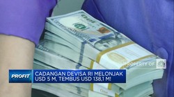 Cadangan Devisa RI Melonjak USD 5 M, Tembus USD 138,1 Miliar