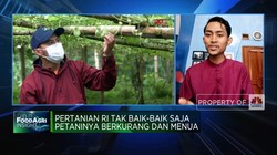 Video: Dorong Milenial Jadi Petani, Jokowi Terkendala Hal Ini