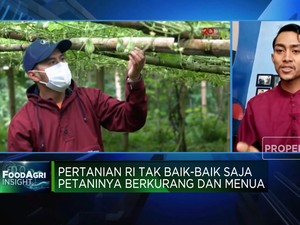 Video: Dorong Milenial Jadi Petani, Jokowi Terkendala Hal Ini