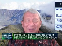 Fakta Sedih Dibalik Berkurangnya Jumlah Petani Indonesia