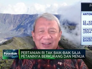 Fakta Sedih Dibalik Berkurangnya Jumlah Petani Indonesia
