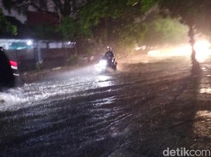 Malam Ini Surabaya Diguyur Hujan Angin, Sejumlah Pohon Dilaporkan Tumbang