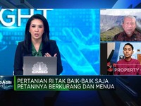 Video: Persoalan Petani RI, Pupuk Mahal Hingga Lahan Terbatas